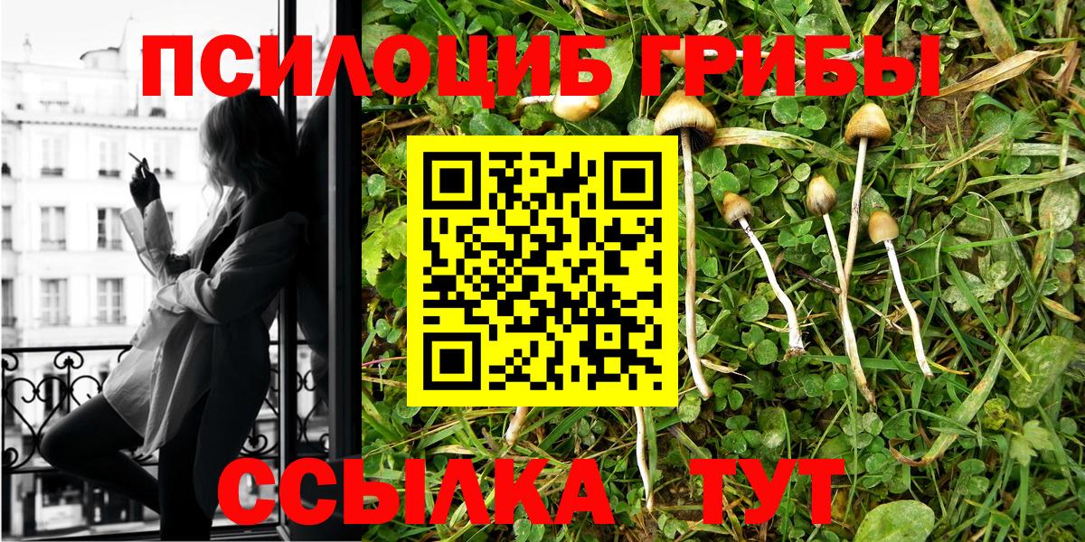 Псилоцибиновые грибы Cubensis Миасс