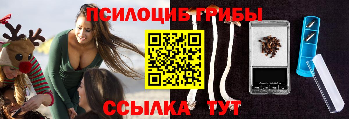 Миасс  Псилоцибиновые грибы Cubensis  Вход с VPN  Галлюциногенные грибы Magic Shrooms 